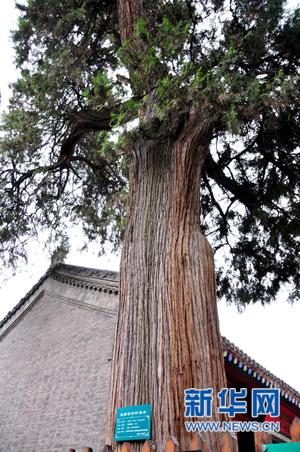 張載祠中聆聽千載“橫渠四句”