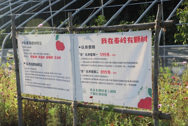 煥新“農(nóng)家院” 開拓“新賽道”——寶雞市渭濱區(qū)推動鄉(xiāng)村文旅融合發(fā)展 煥新“農(nóng)家院” 開拓“新賽道”——寶雞市渭濱區(qū)推動鄉(xiāng)村文旅融合發(fā)展