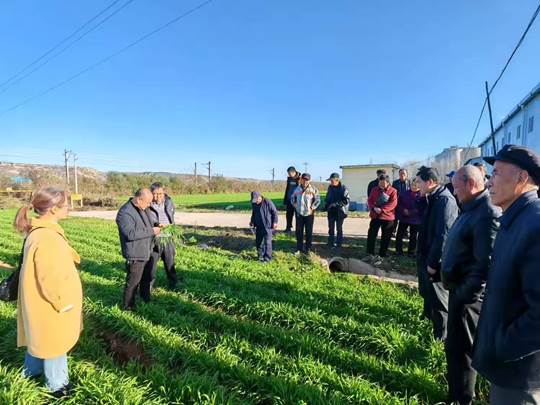 圖示, 示意圖

中度可信度描述已自動(dòng)生成:ver1