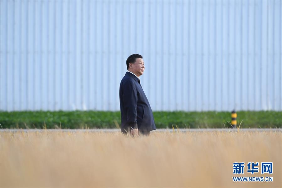 2018年9月25日，中共中央總書記、國家主席、中央軍委主席習近平抵達黑龍江省開始考察。這是習近平在黑龍江農(nóng)墾建三江管理局了解糧食生產(chǎn)和收獲情況。 新華社記者燕雁攝