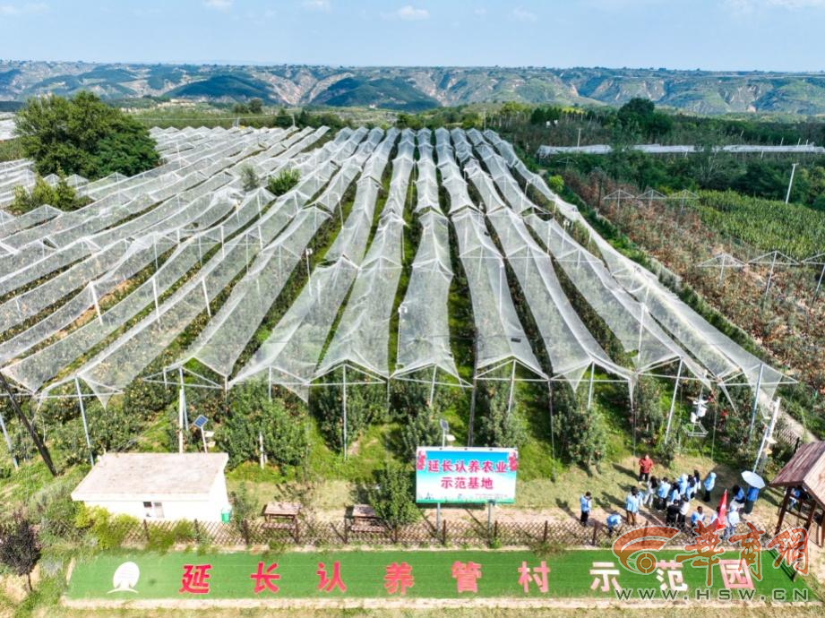 APiK8QbLJhRVCx8Z.png APiK8QbLJhRVCx8Z.png