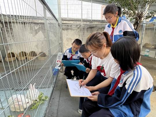 圖示, 示意圖

中度可信度描述已自動生成:ver1