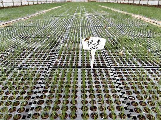 圖示, 示意圖

中度可信度描述已自動(dòng)生成:ver1