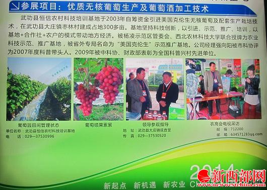 IMG_0350_看圖??jpg