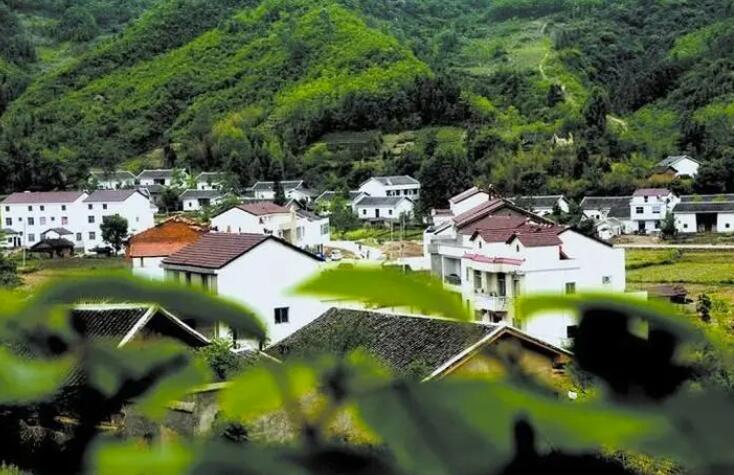 推進(jìn)鄉(xiāng)村全面振興路線圖