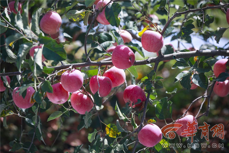 YqHVUYnE0AvvhKQu.png 圖片3.png