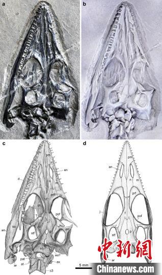 點擊進入下一頁