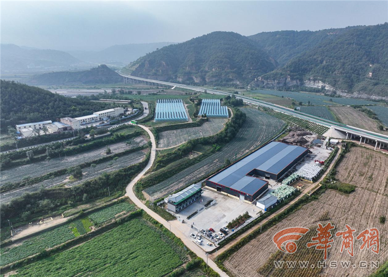 nGSN1QI7Tsm8Qxps.png 圖片1.png