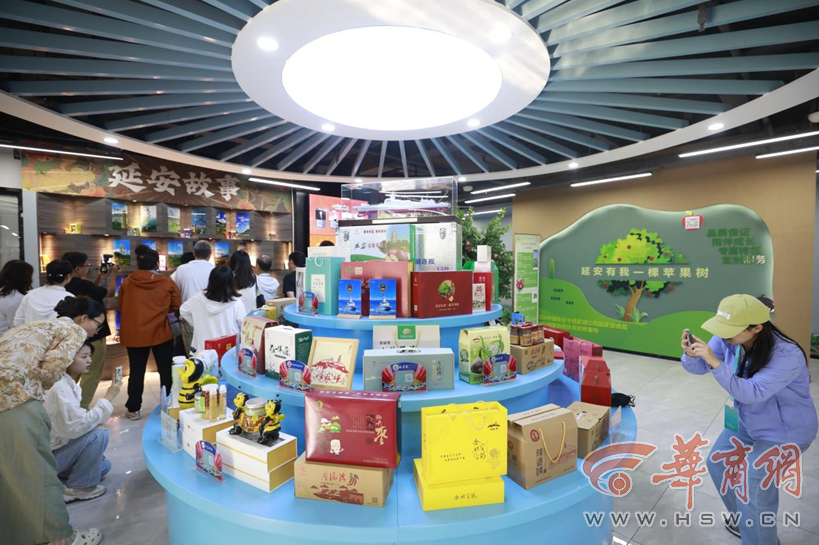 5mJIJwYL8ktwSUSk.png 5mJIJwYL8ktwSUSk.png