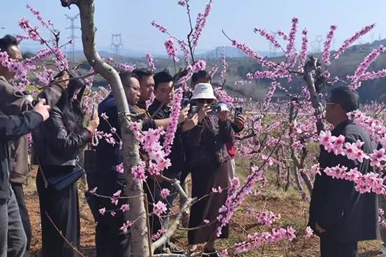 e0ffec879a262a7ad125f9c1b71dcac