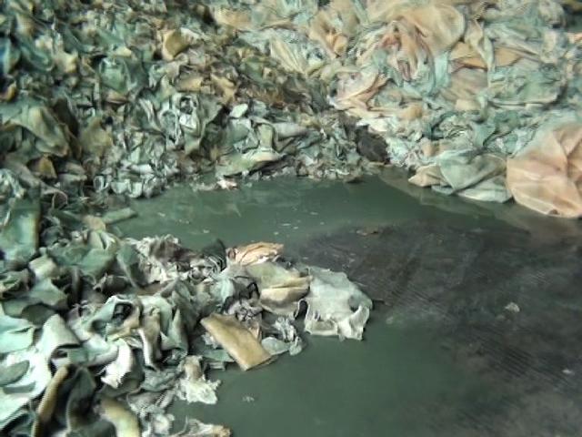 央視調(diào)查：部分企業(yè)用工業(yè)明膠加工藥用膠囊