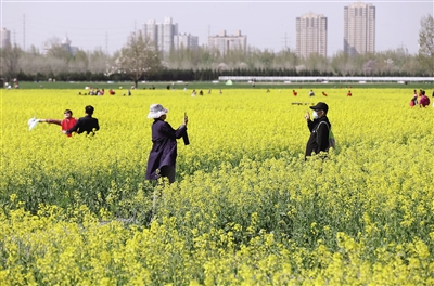 正在上傳... 9c6debdb1fa9db2bb66917016f7d2efa.jpg