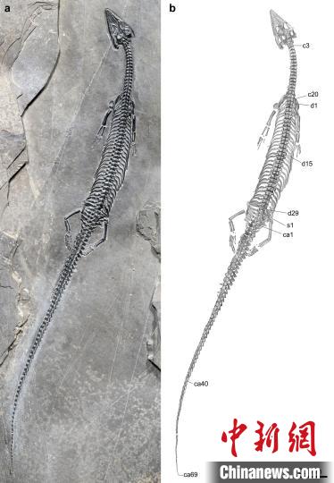 點擊進入下一頁