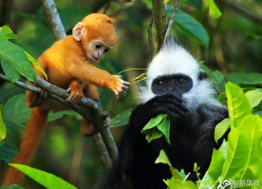 點(diǎn)擊進(jìn)入下一頁