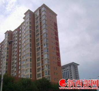 富平縣焦村紫御臺商城違法用地百畝調(diào)查????jpg