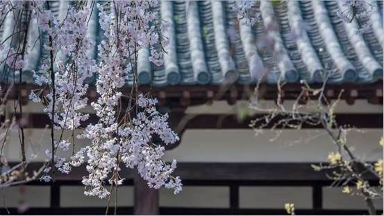 149d7a90f0e26ed21afa06990043411