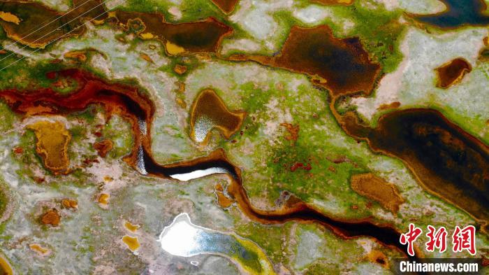 “中華水塔”青海省生態(tài)系統(tǒng)服務(wù)價(jià)值總量超4萬億元