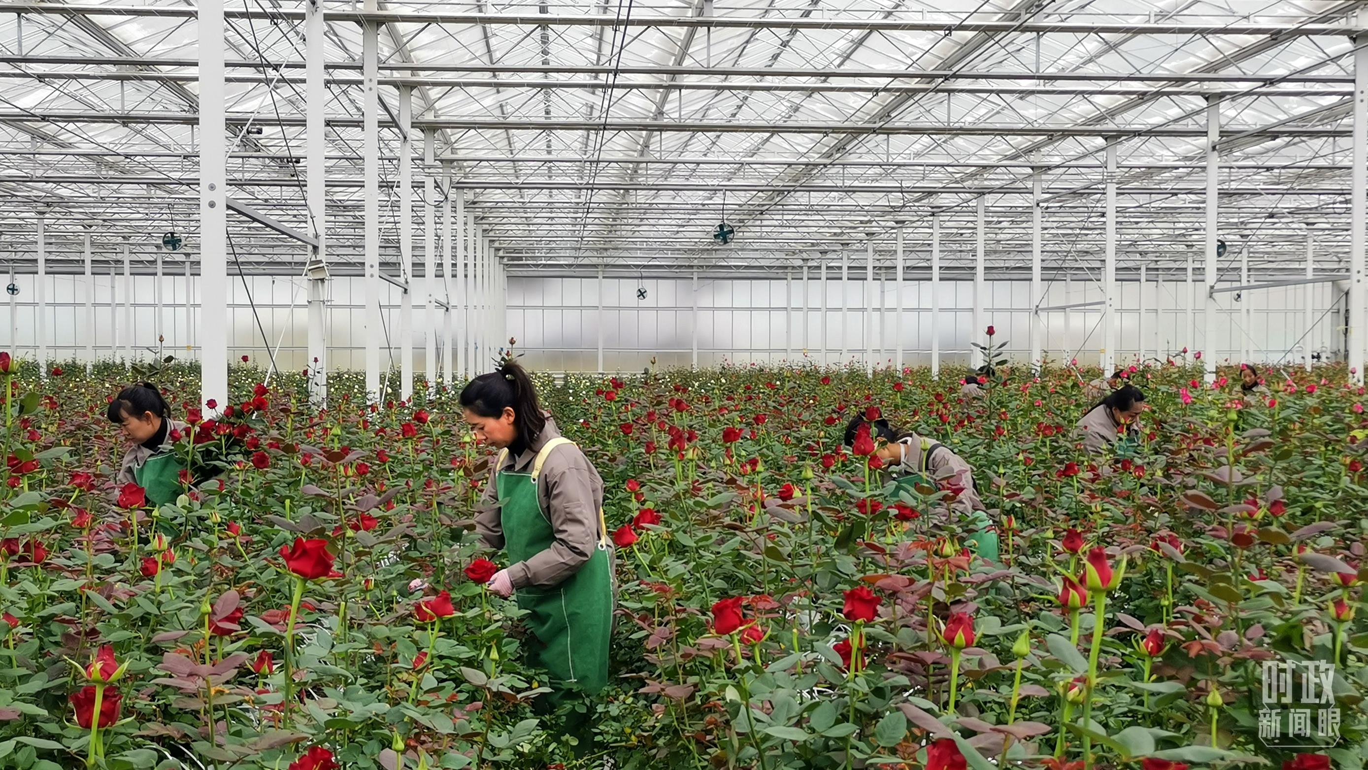 習(xí)近平赴云南麗江考察,關(guān)注這座名城的“古與今” 習(xí)近平赴云南麗江考察,關(guān)注這座名城的“古與今”