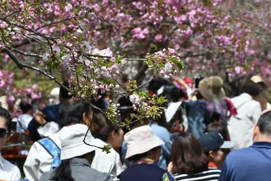 64b0ce7a2f5b5a2e764ff4de4f7a4b1