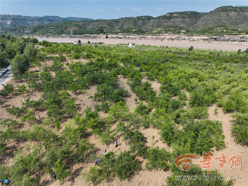 WYvBgPjwAxNiSYZv.png 圖片2.png