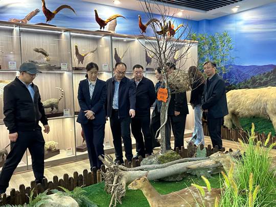 圖示, 示意圖 中度可信度描述已自動(dòng)生成:ver1