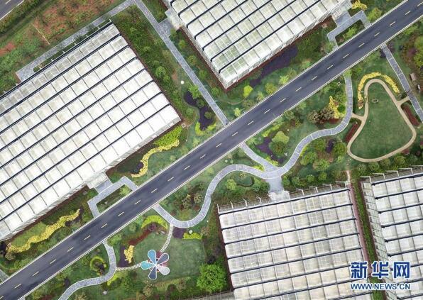 “開心農(nóng)場”里體驗現(xiàn)代農(nóng)業(yè)