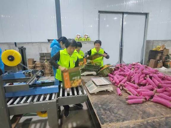 圖示, 示意圖

中度可信度描述已自動生成:ver1