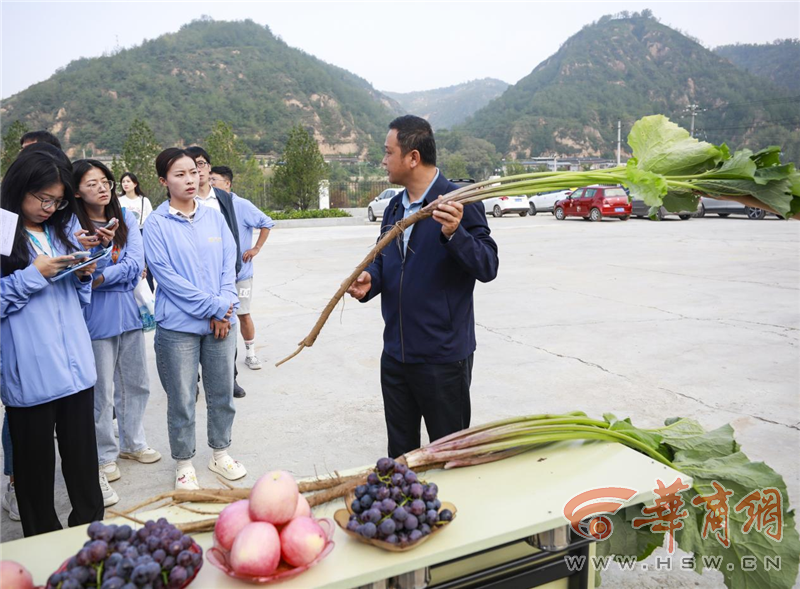 e5R3dQzTIRnt1ehX.png 圖片3.png