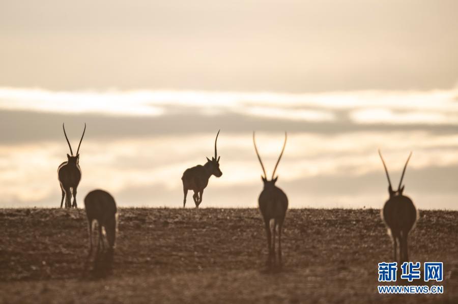 點(diǎn)擊進(jìn)入下一頁(yè)