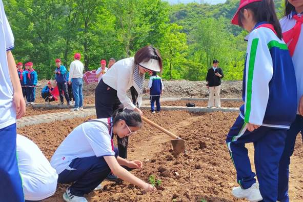 圖示, 示意圖

中度可信度描述已自動生成:ver1