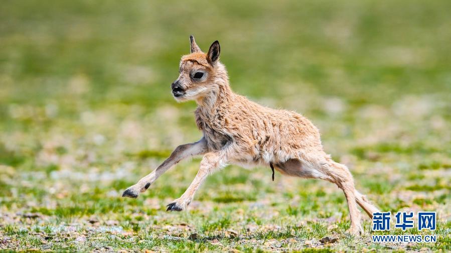 點(diǎn)擊進(jìn)入下一頁(yè)