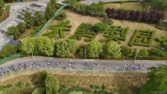 e25e31fa185acca0cd8f73ea960849b