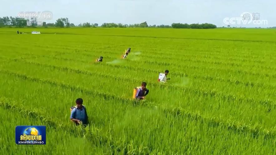 點(diǎn)擊進(jìn)入下一頁(yè)