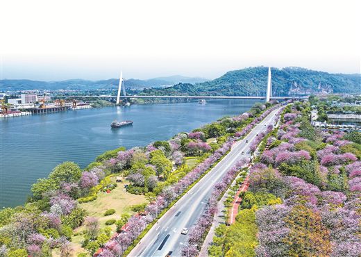 百里柳江穿城而過(guò)，沿岸風(fēng)光旖旎。 柳州市生態(tài)環(huán)境局供圖