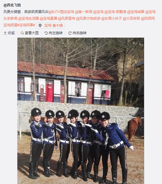搜狗截圖15??2??9??331_8.png