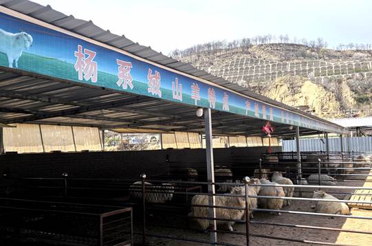 圖示, 示意圖 中度可信度描述已自動(dòng)生成:ver1