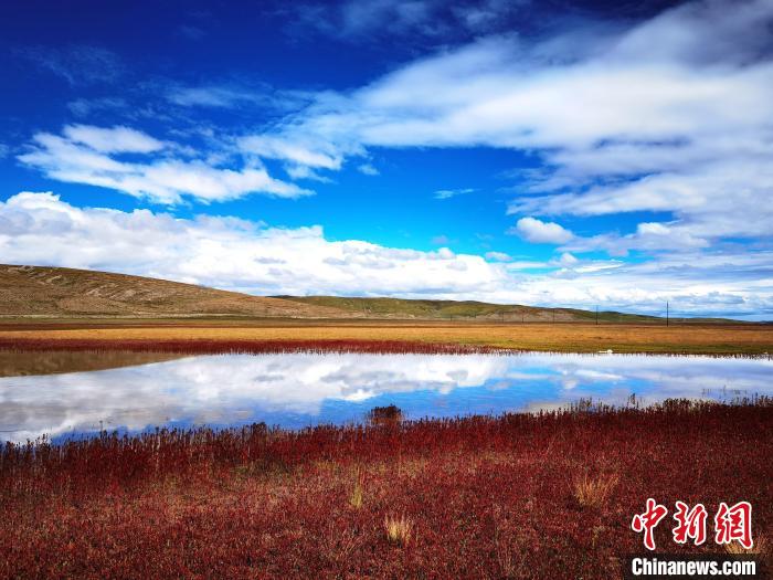 圖為黃河源頭瑪多秋景。(資料圖) 瑪多縣委宣傳部 供圖