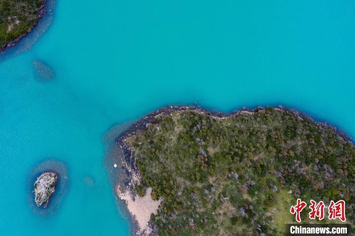 圖為航拍西藏洛隆卓瑪朗措國家濕地公園?！『闻罾?攝