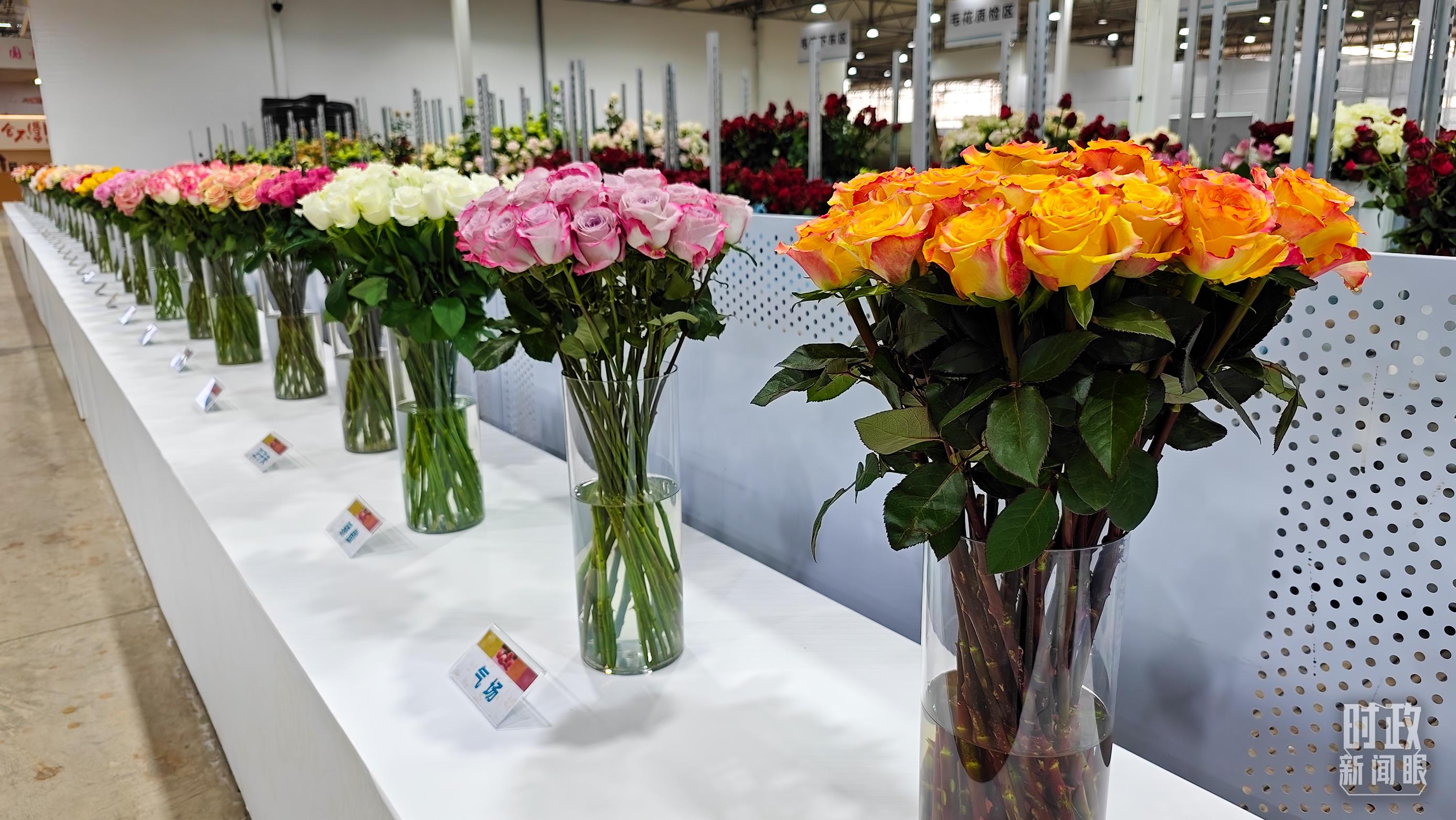 習(xí)近平赴云南麗江考察,關(guān)注這座名城的“古與今” 習(xí)近平赴云南麗江考察,關(guān)注這座名城的“古與今”