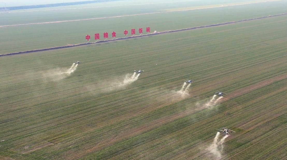 大荔縣糧食綠色高產高效行動項目萬畝示范區(qū)內，新型農用機械穿梭其中。劉亦塵攝