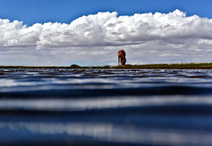 走進(jìn)西藏羌塘自然保護(hù)區(qū)