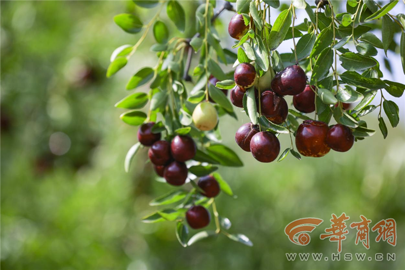 XCLyhD01VJ5p1jAF.png 圖片1.png