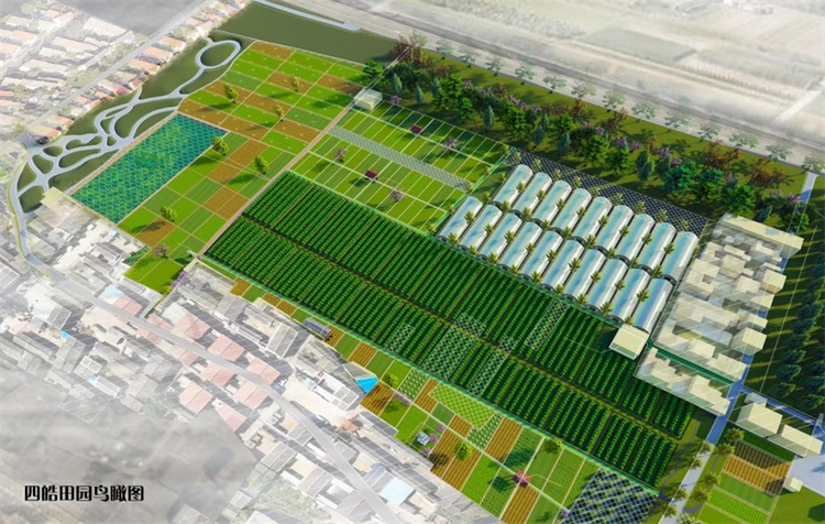 【致敬長安最美基層工作者】西安市長安區(qū)四皓村黨支部書記駱小愛：帶領“婆家人”走在鄉(xiāng)村振興的康莊大道上_fororder_圖片4