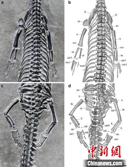 點擊進入下一頁
