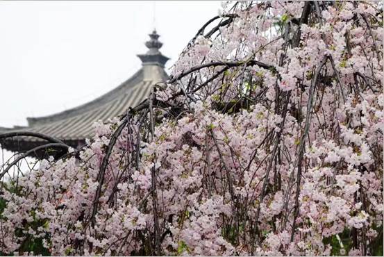 3346e825316c5798f368b738a690fed