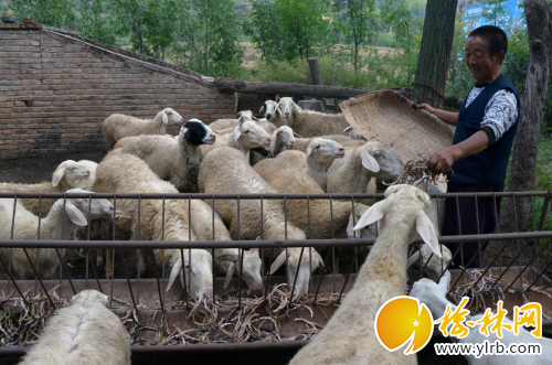 QQ截圖20180903200836