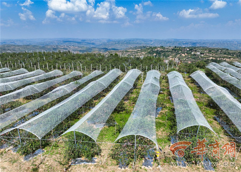 YzehBUHO2O9f5uJj.png 圖片4.png