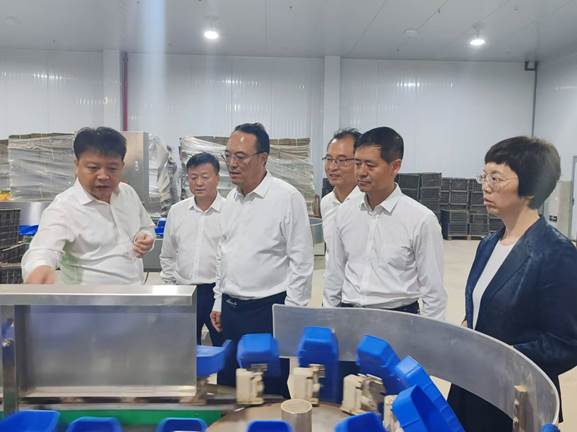 圖示, 示意圖

中度可信度描述已自動生成:ver1