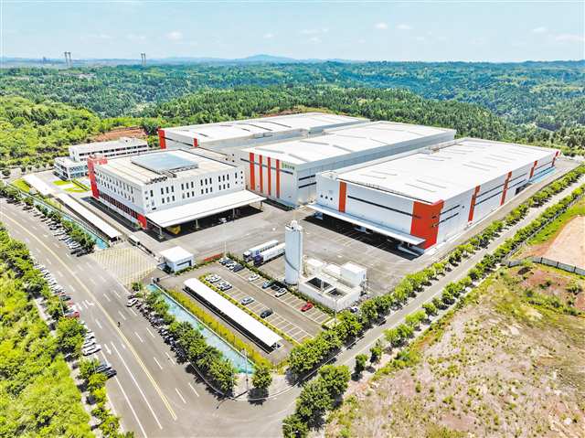 7月2日，潼南區(qū)雪王農(nóng)業(yè)（重慶）有限公司，眾多冷藏車準備運送新鮮檸檬。記者 鄭宇 攝/視覺重慶