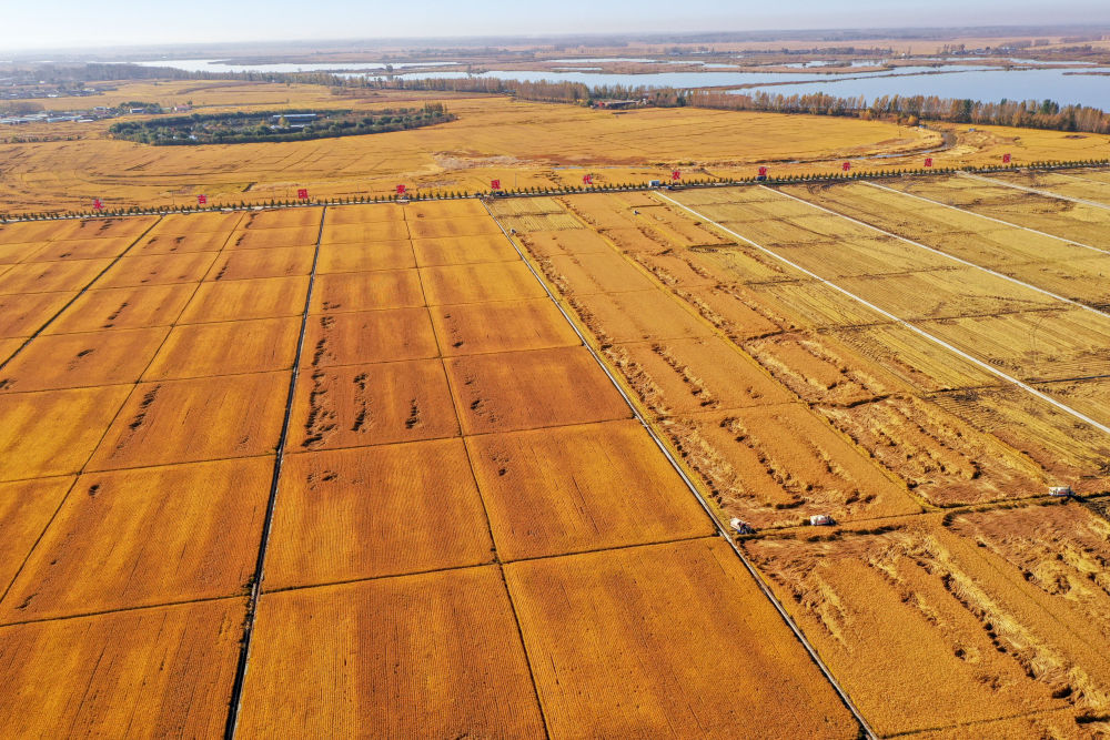 點(diǎn)擊進(jìn)入下一頁 點(diǎn)擊進(jìn)入下一頁